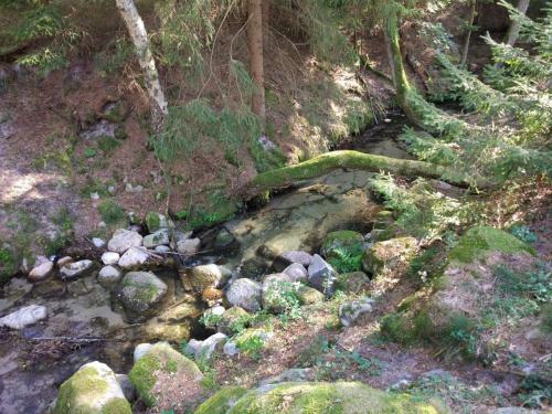Lodge Hubert�wka Czapiewice