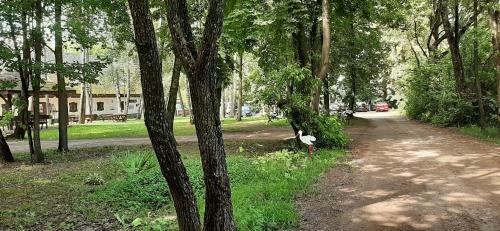 Apartamento Na Podlasiu