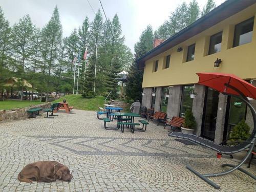 Agroturismo Wincent�wka - Realizujemy Bon Turystyczny