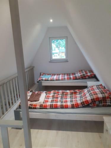 Eccocamping Sosnowe Wzg�rze