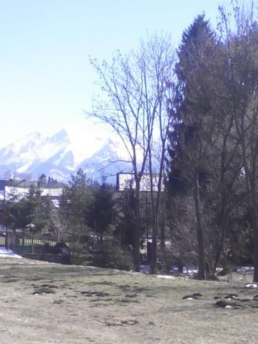 Apartament Widok