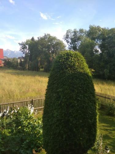 Apartament Widok
