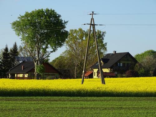 Agroturystyka Dana