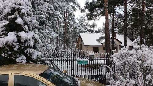 Domek Nad Narwi?