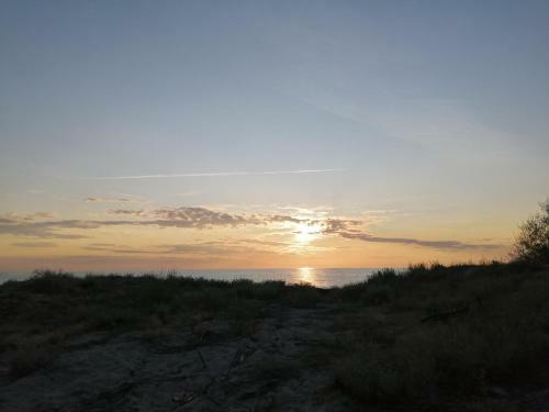 Apartament Laurowy