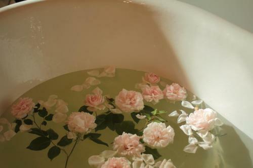 Bed & Breakfast Rose Residence