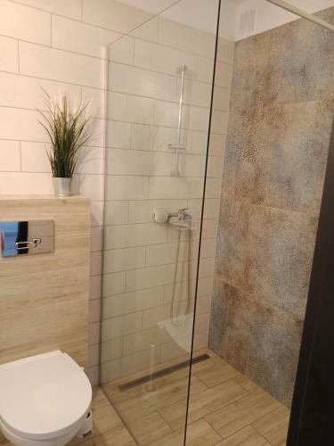 Apartamento Czarny Baran
