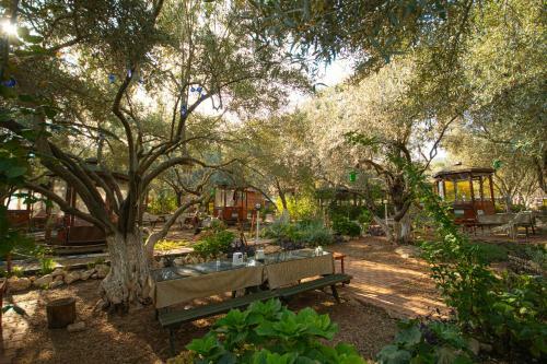 Bed & Breakfast Alpstar Camping & Restaurant