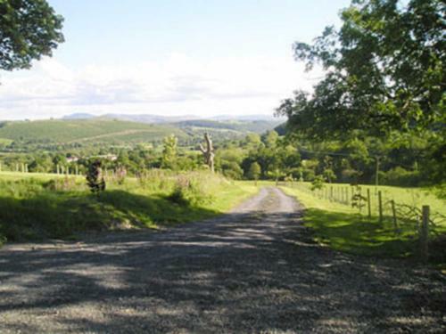 Field View