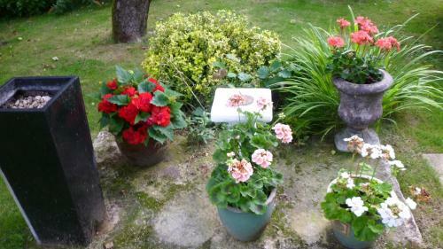Apartamentos Hopewell Self-catering