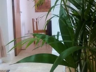 Hostal Jessamine House