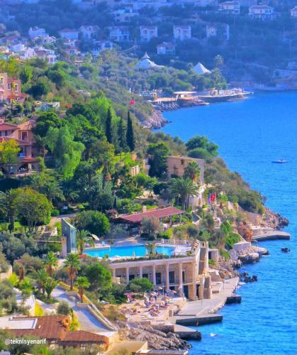 Sea View Bougainvillea 52