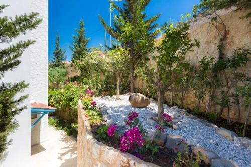 Eco Villa Olivia