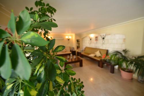 Hotel Talay Pansiyon
