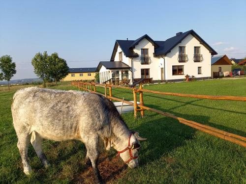 Agroturismo Zagroda Na Borach