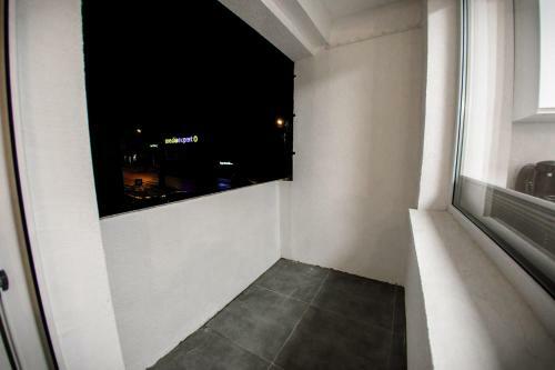 Apartament Shark