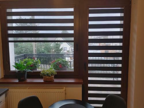 Apartamento Pokoje U Zofii