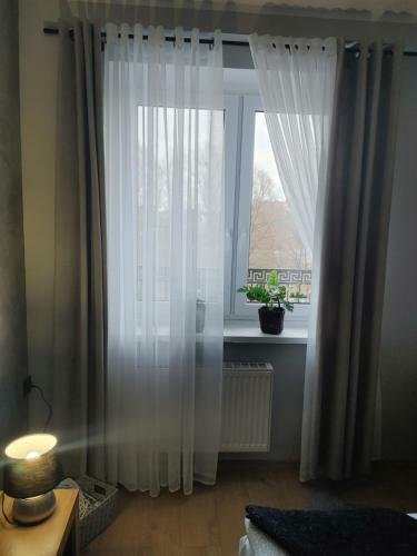 Apartamento Pokoje U Zofii