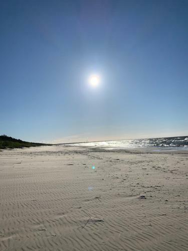 Apartament Jantarowe Zacisze Green