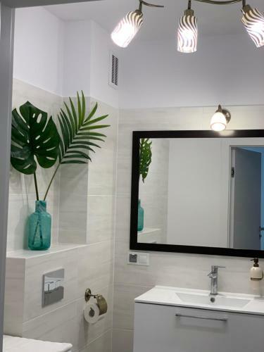 Apartament Jantarowe Zacisze Rose