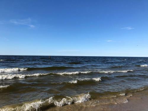 Apartamento Morska Fala, Jantar