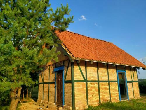 Andrzej�wka