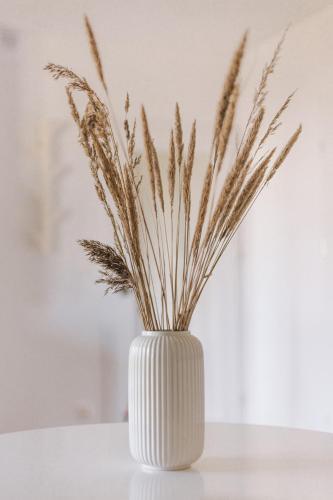 Apartamenty Bia?e Piaski