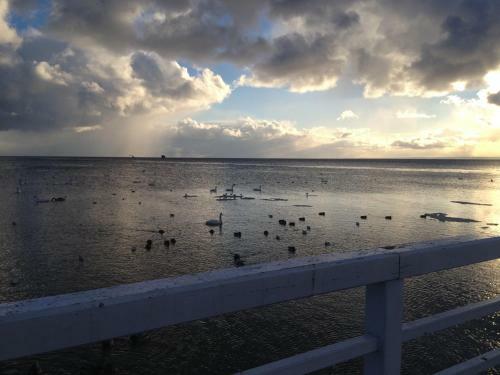 Apartament Bornholm