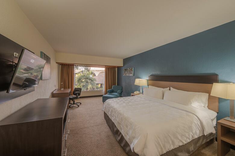 Hotel Holiday Inn Guadalajara Expo