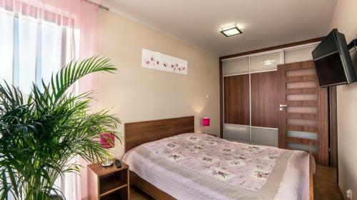 Apartament Morski Anio?