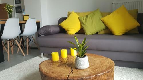 Apartament Cieplice