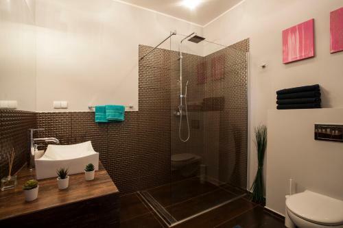 Apartament Park Sudecki