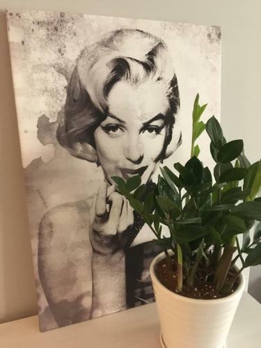 Apartament Studencka