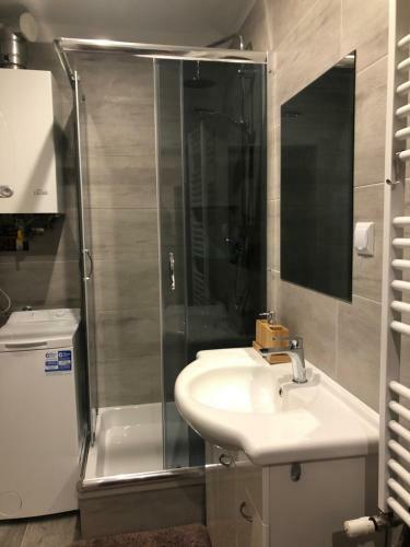 Bibi Apartament