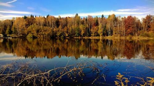 Apartamenty Karkonoska Polana