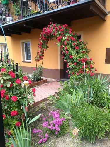 Apartament Przy T??niach