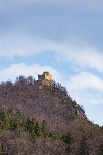 Villa Willa Sobiesz�w