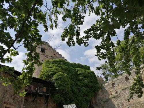 Apartament Zielone Wzg�rze