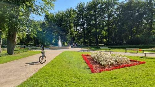 Apartament Solankowy