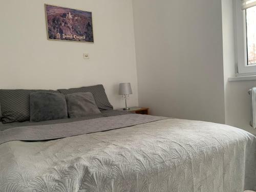 Apartament Pod Zamkiem Chojnik