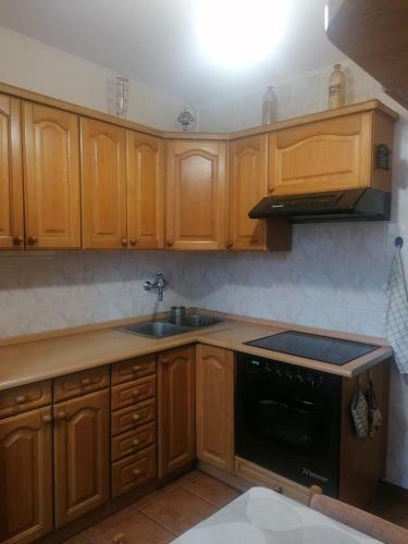 Apartament Podr�?nika