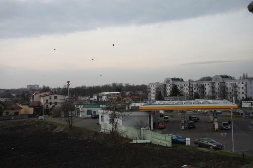 Apartament Rodzinny S8