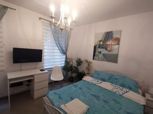 Apartament Wygodny S3