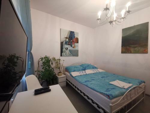 Apartament Wygodny S3