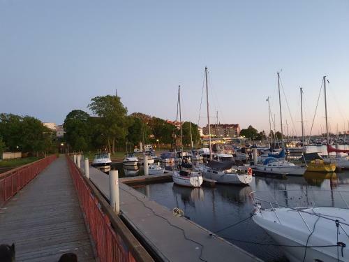 Apartament Hana