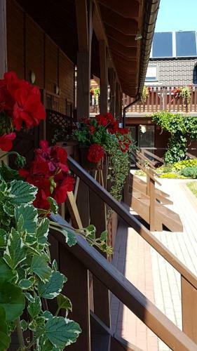 Lodge Pensjonat Na Zaciszu