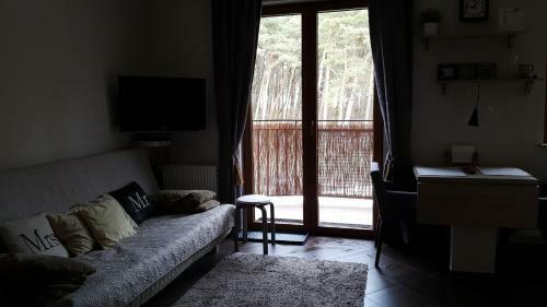 Apartament Sosnowy