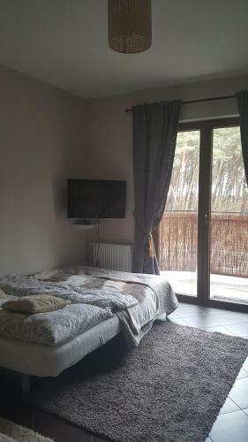 Apartament Sosnowy