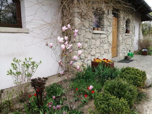 Apartamento Villa Roma