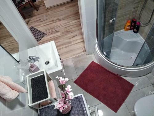 Apartamento Evitawitagliwicka 700mgaleriakatowice